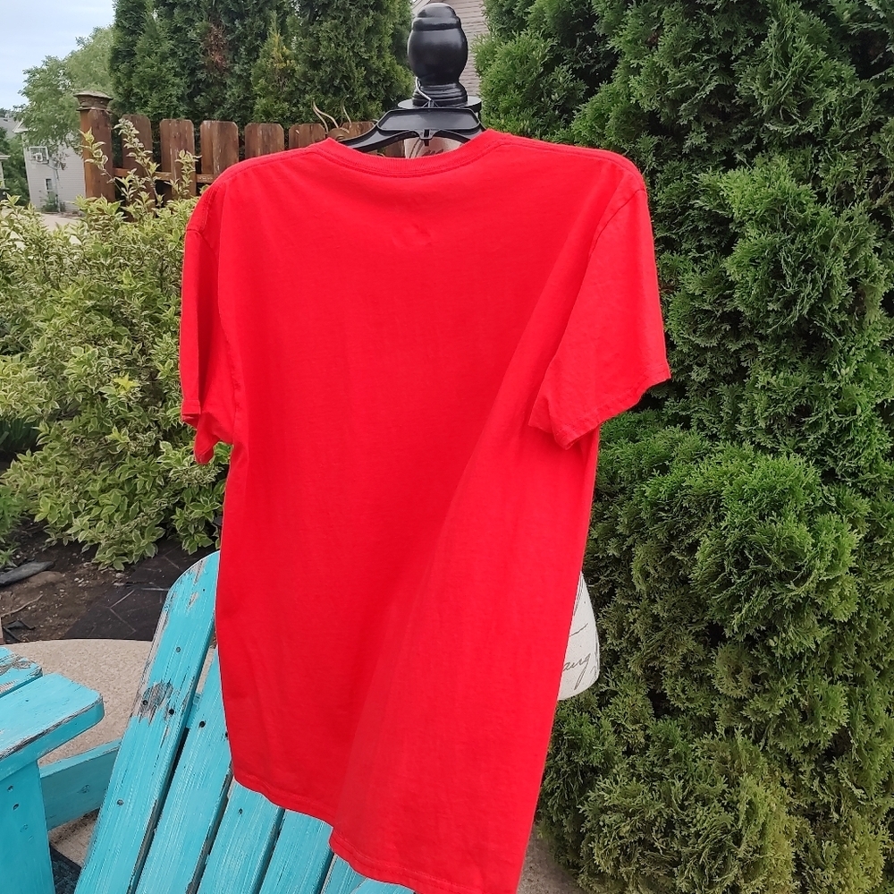 💥 3/$20 Captivating Large Wisconsin Badgers T-Shirt! - Picture 3 of 9